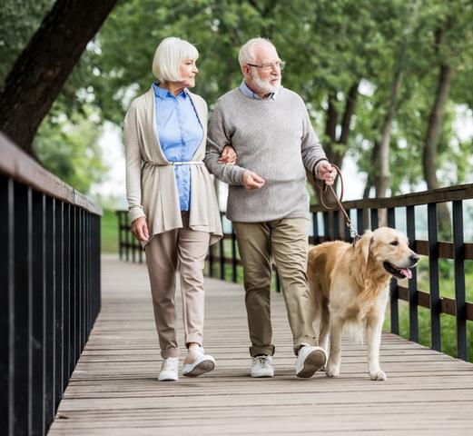 older couple walking dog on bridge